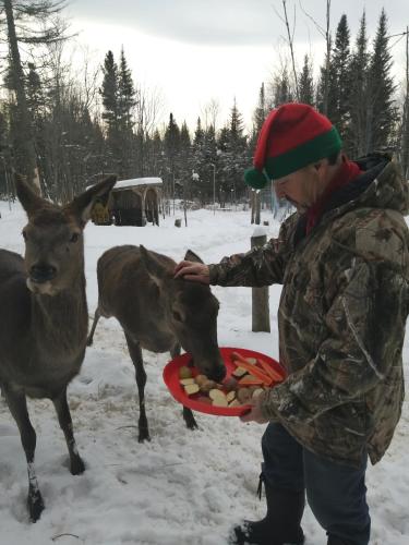 Hebergement Cerfs Tifie fermette in Unknown City, Canada