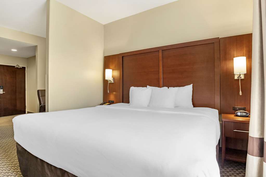 Comfort Suites Medical Center near Six Flags - photo 16