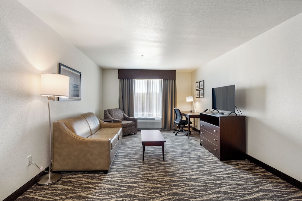Cobblestone Hotel & Suites De Pere Green Bay - photo 37