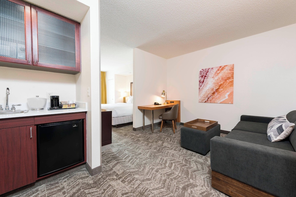 SpringHill Suites by Marriott Grand Rapids North - photo 12