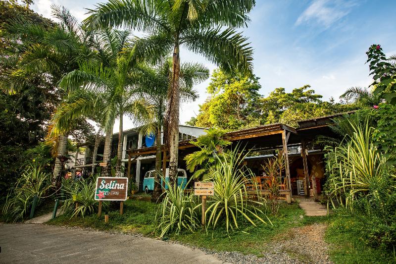 Socialtel Red Frog Panama — Bocas Del Toro — photo 2