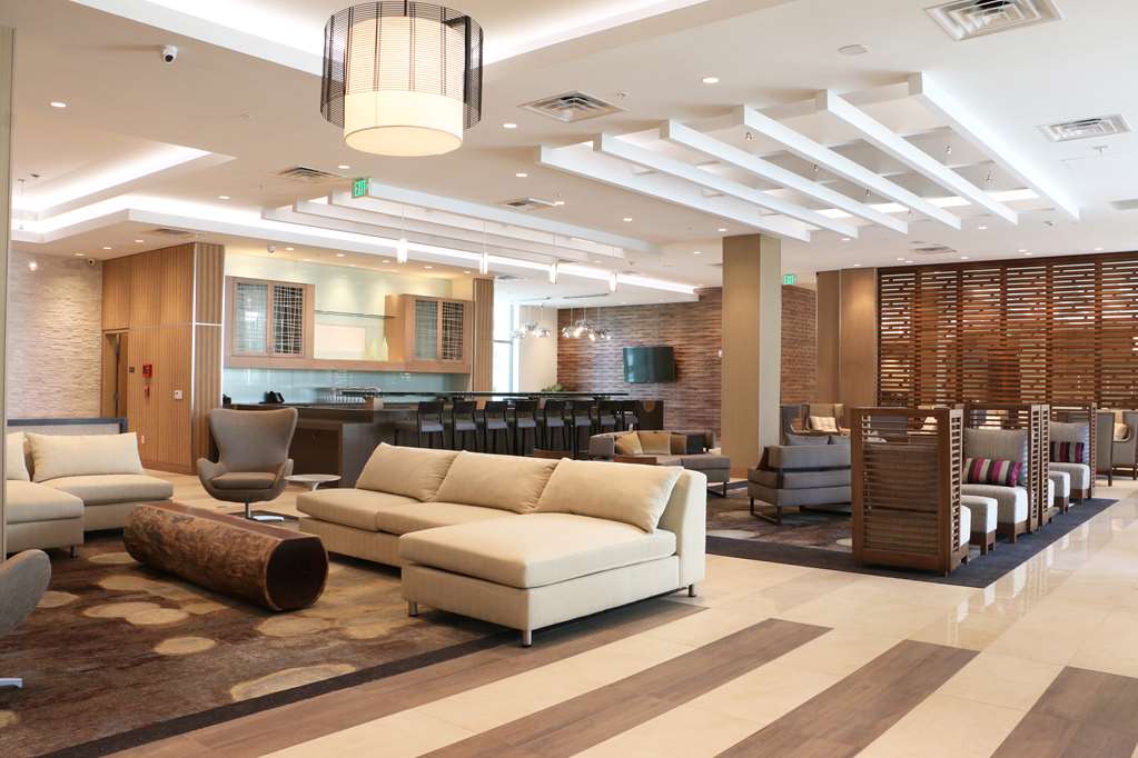 Hyatt House at Anaheim Resort Convention Center - photo 6