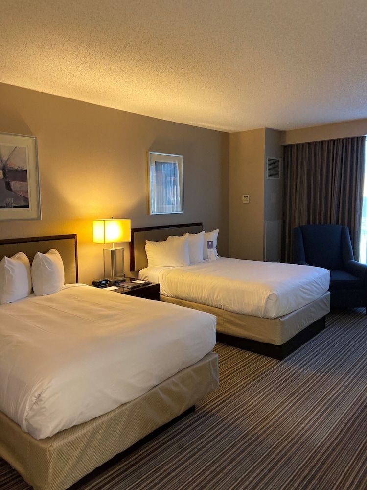 The Clyde Hotel - photo 10