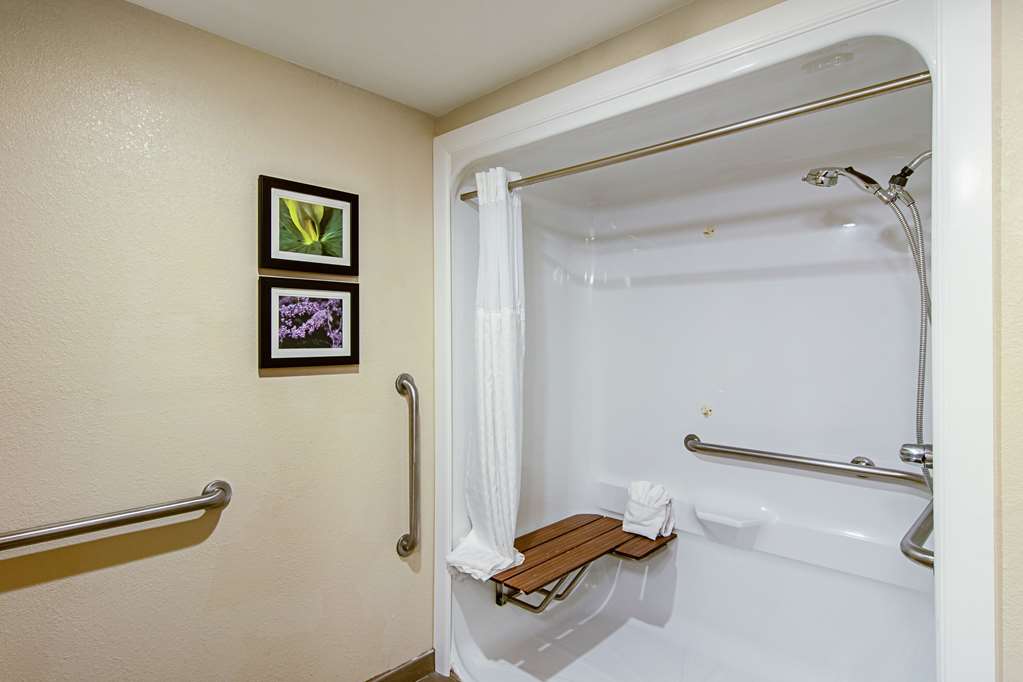 Comfort Suites Knoxville Airport - photo 8
