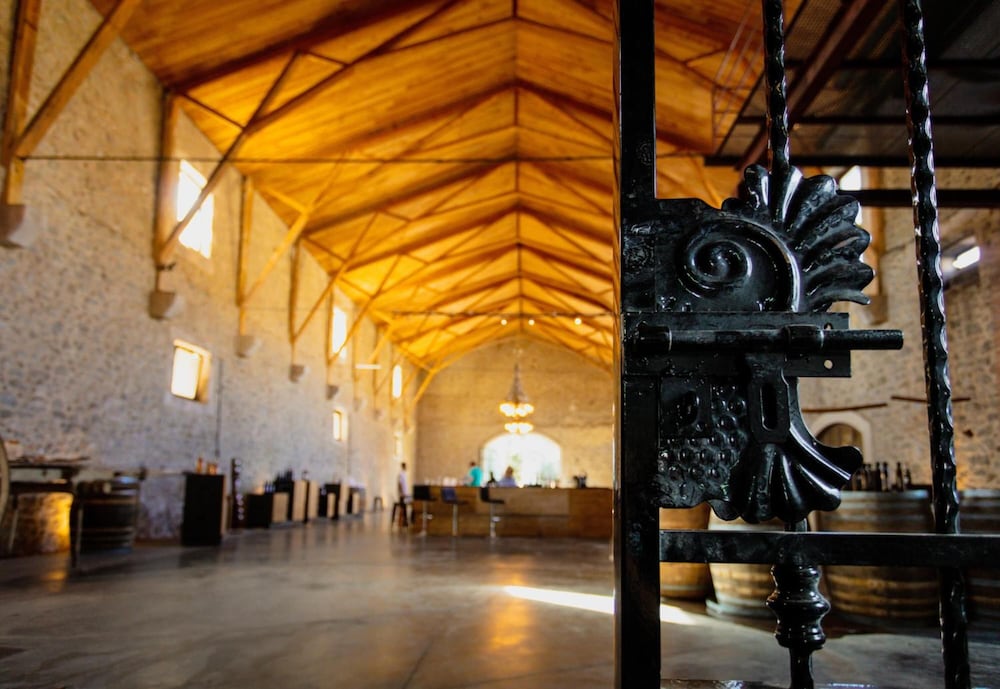 Chateau De Paraza — Canet — photo 4