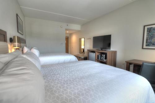 Holiday Inn & Suites Pigeon Forge Convention Center an IHG Hotel - photo 24