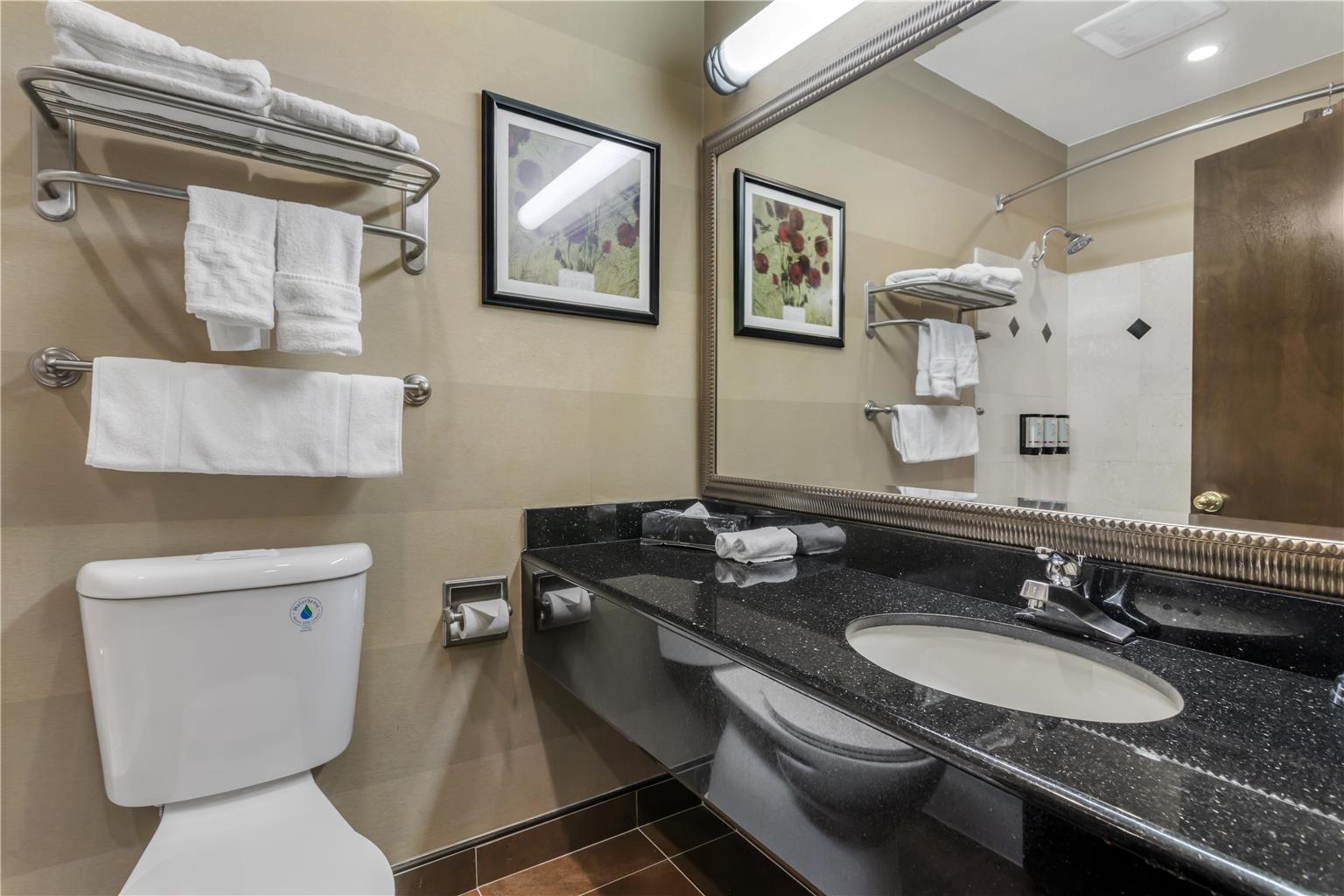 Best Western Plus Brookside Inn - photo 14