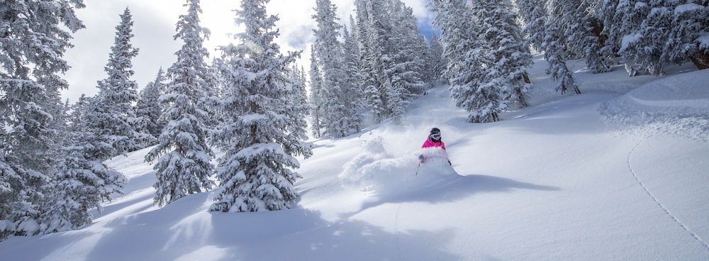 Wildwood Snowmass - photo 25