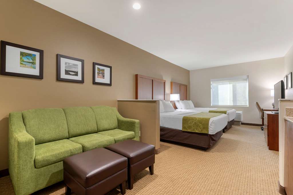 Comfort Suites Marysville Yuba City - photo 15