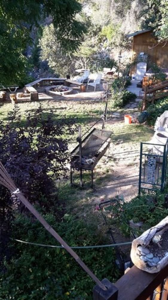 Pine Rose Inn - photo 23