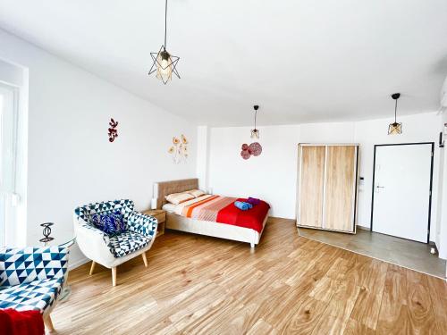 Apartment Mara 1 — 4-Star Luxury Hotel in Timisoara, Romania