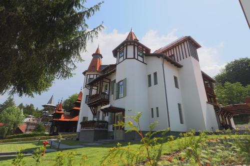 Turul Villa — Sovata — photo 2