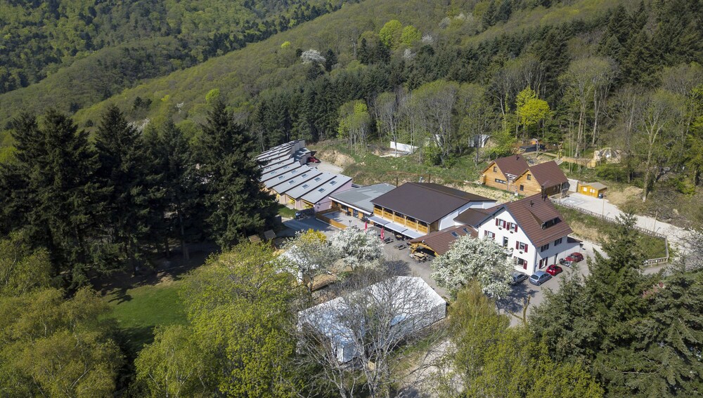Domaine Du Hirtz pet-friendly hotel Wattwiller