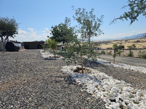Carlo’s Mountain Lodge — Usakos — photo 2