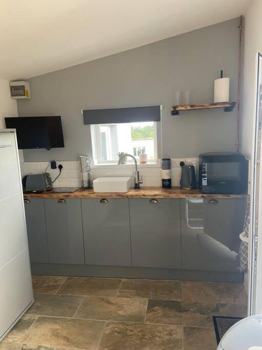 Adorable bedsit for you partner and your pet in Narberth, United Kingdom