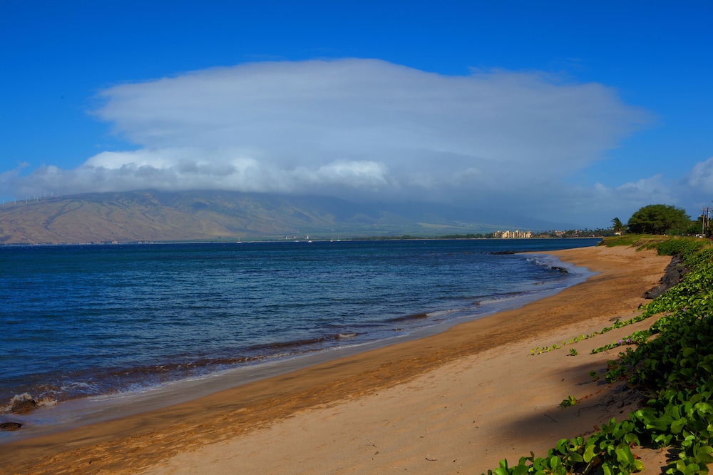 Kohea Kai Maui - photo 38