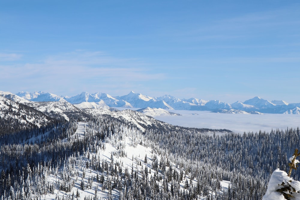 Meadow Lake Resort & Condos - photo 184