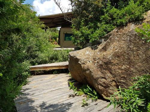 Love Lions Alive Sanctuary