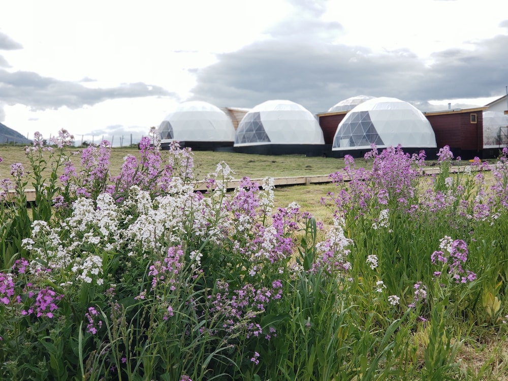 Garden Domes in Puerto Natales, Chile