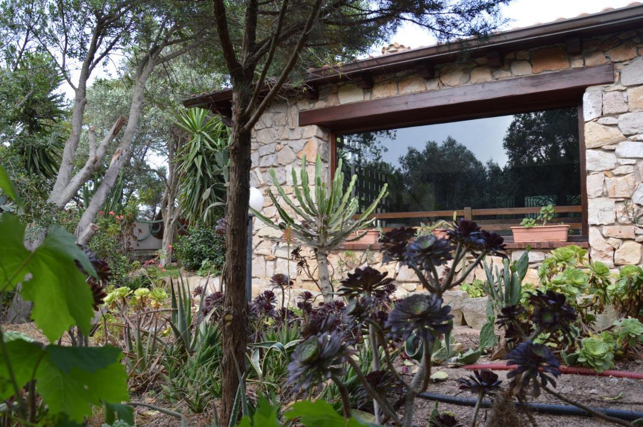 Giardino Degli Ulivi — Gonnesa