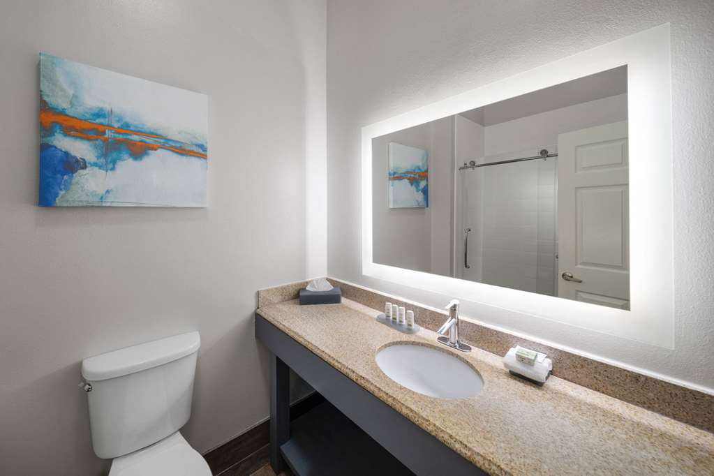 La Quinta Inn & Suites by Wyndham Angleton - photo 31