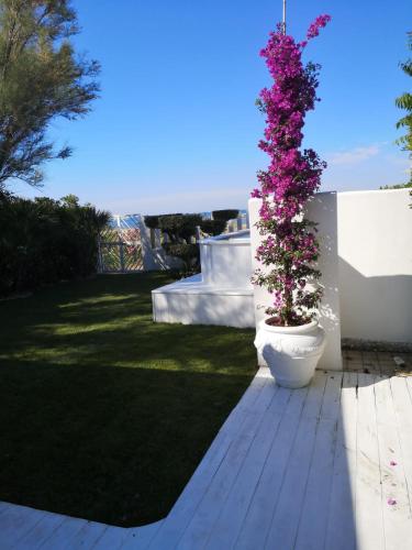 Villino R&R con piscina ed accesso diretto al mare in Termoli, Italy