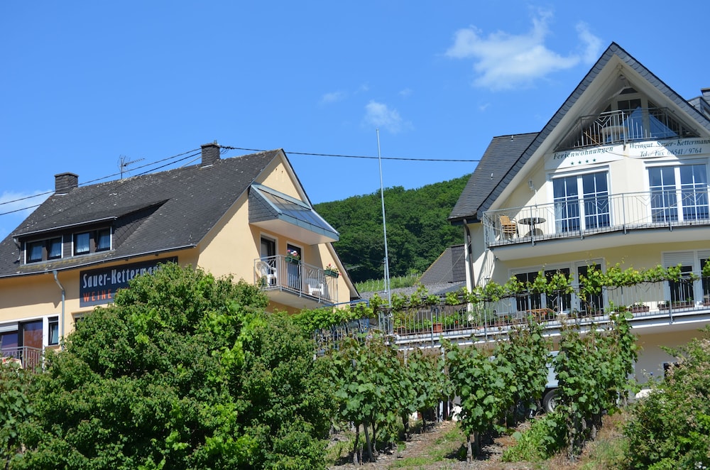 Weingut Sauer Kettermann in Enkirch, Germany