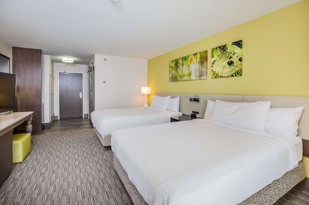 Hilton Garden Inn Orange Beach Beachfront - photo 37