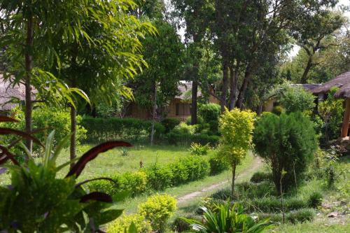 Jungle Base Camp — 4-Star Luxury Hotel in Bardiya, Nepal