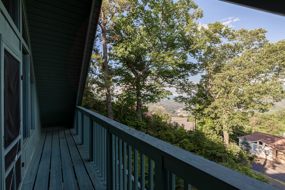 A Bears View - photo 14