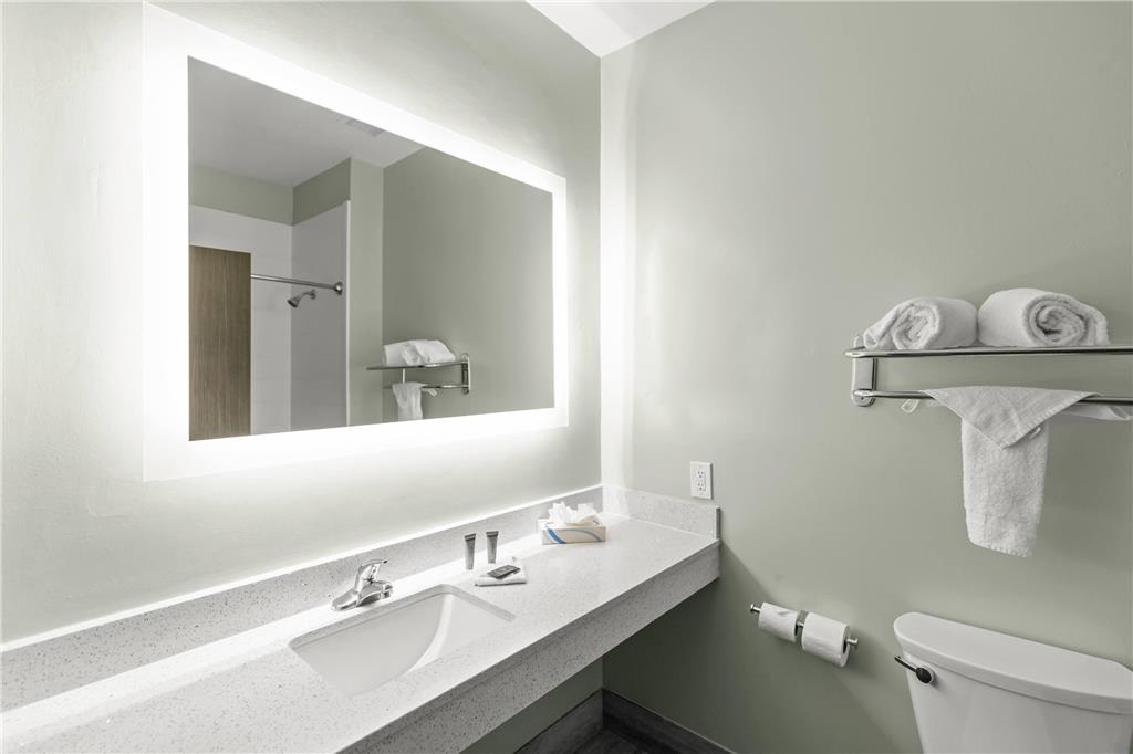 Wingate by Wyndham Humble Houston Intercontinental Airport - photo 30