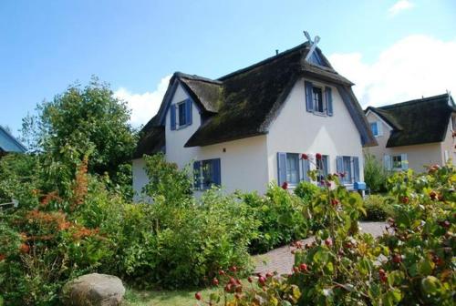 Hagebutte — Kirchdorf — photo 2