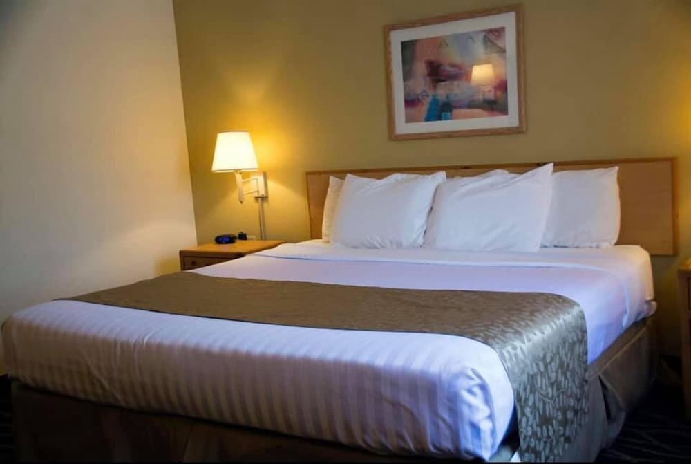 Boarders Inn & Suites by Cobblestone Hotels Wautoma - photo 13