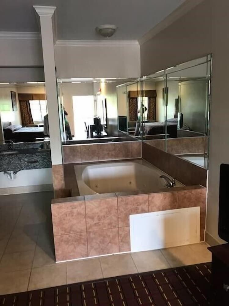 Palace Inn Greenspoint - photo 9