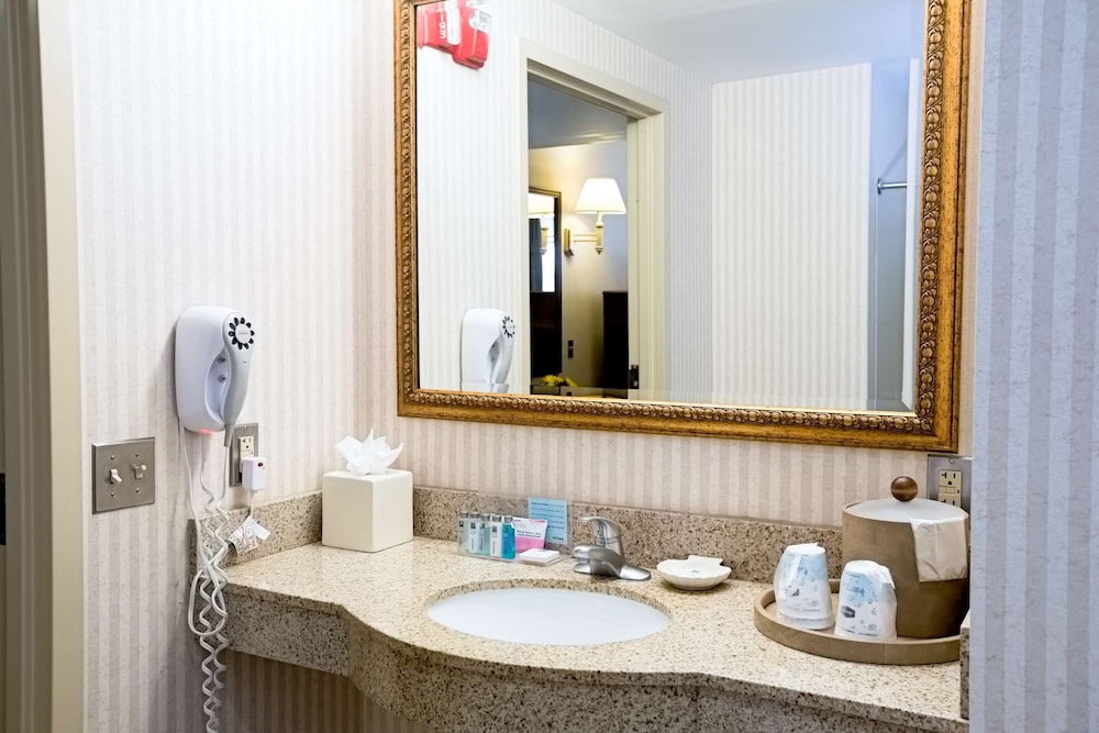 Hampton Inn Raynham Taunton - photo 25