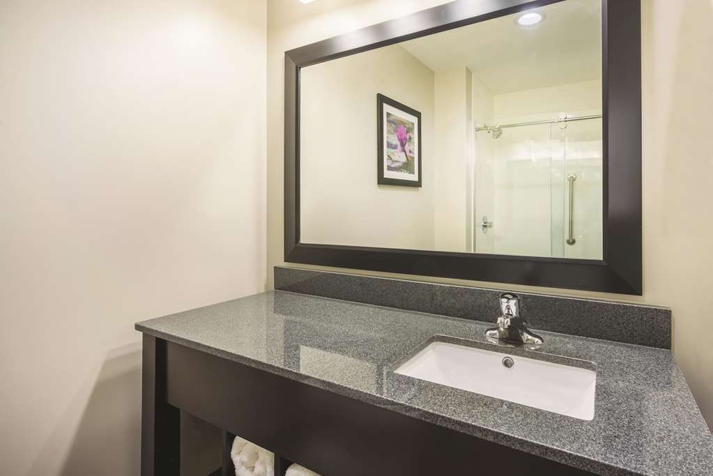 La Quinta Inn & Suites by Wyndham Clifton Park Saratoga Area - photo 11
