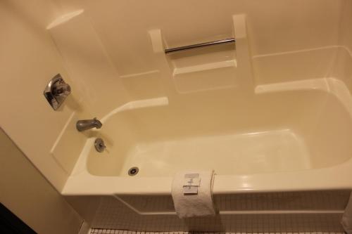 Woodlands Inn & Suites - photo 30