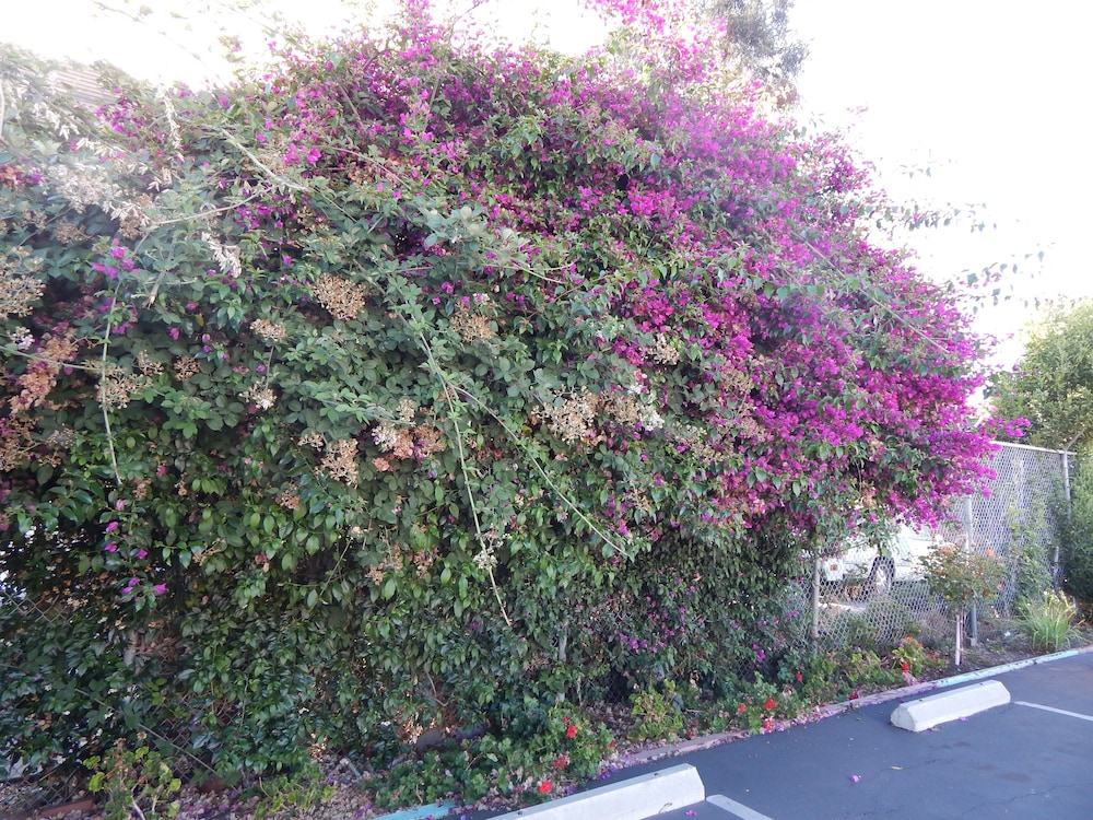 Bay Bridge Inn - photo 28