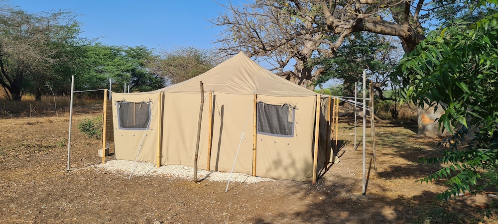 Ecolodge Baksungan in Unknown City, Senegal