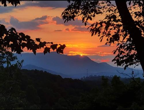 Rustic Cabin — 4-Star Luxury Hotel in Sevierville, United States
