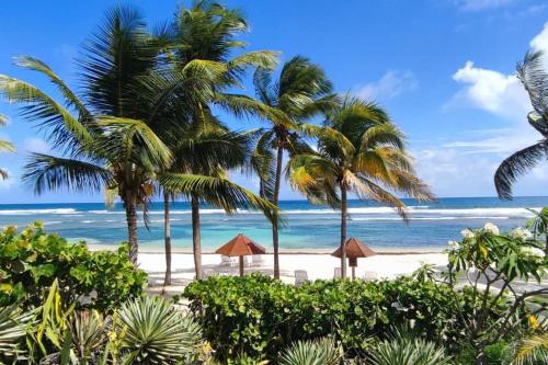 Le Colibri du Paradis — 4-Star Luxury Hotel in Sainte-Anne, Guadeloupe