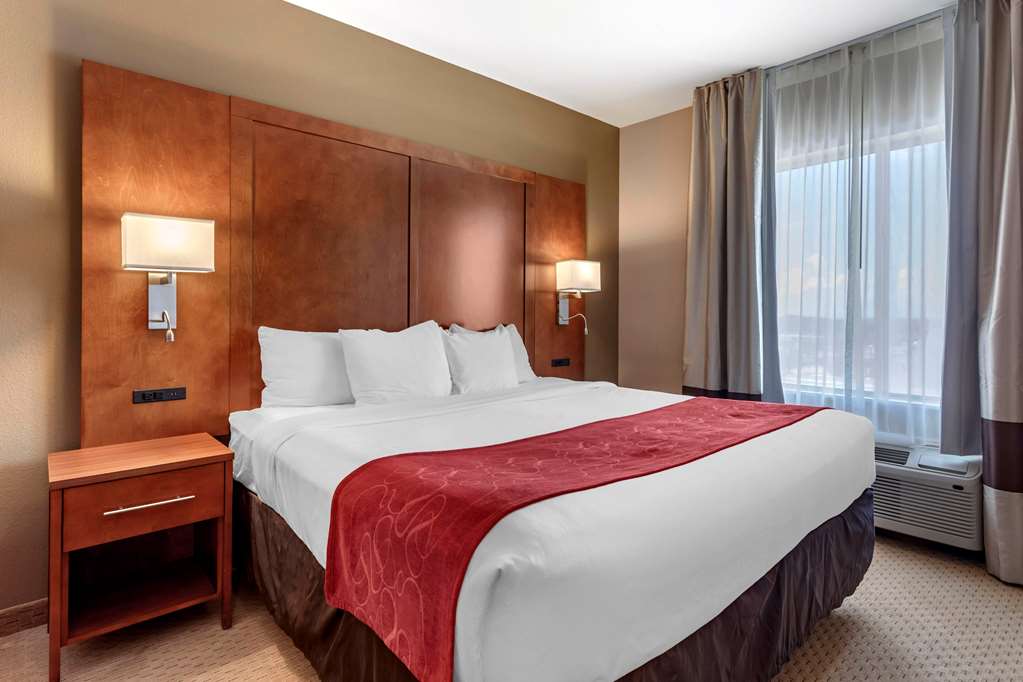 Comfort Suites Florence Shoals Area - photo 8