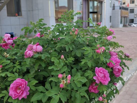 Baiyun Hotel - last minute hotel in Shahe
