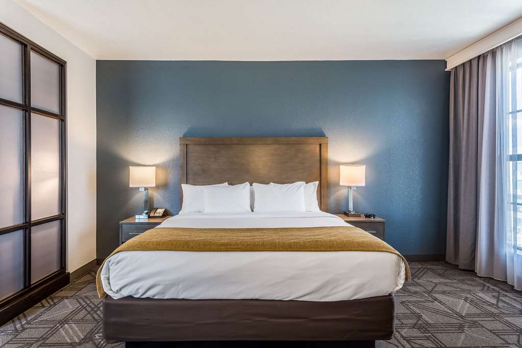 Comfort Inn & Suites Salt Lake City Airport - photo 48
