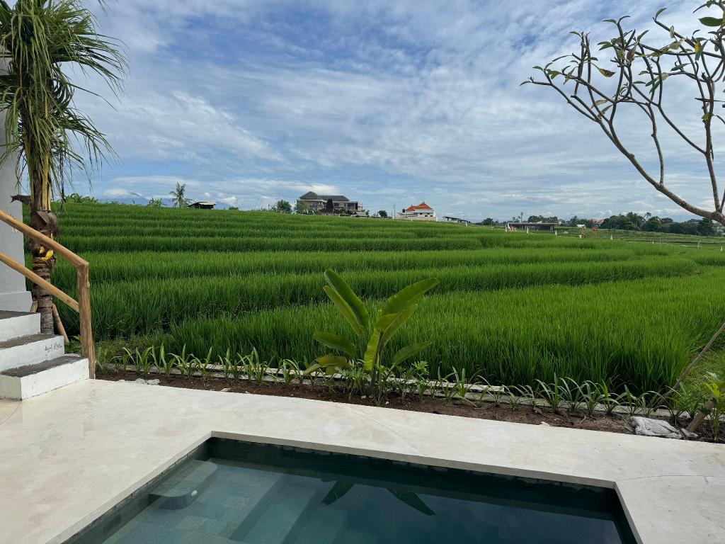 Blue Origin Bali in Bali, Indonesia