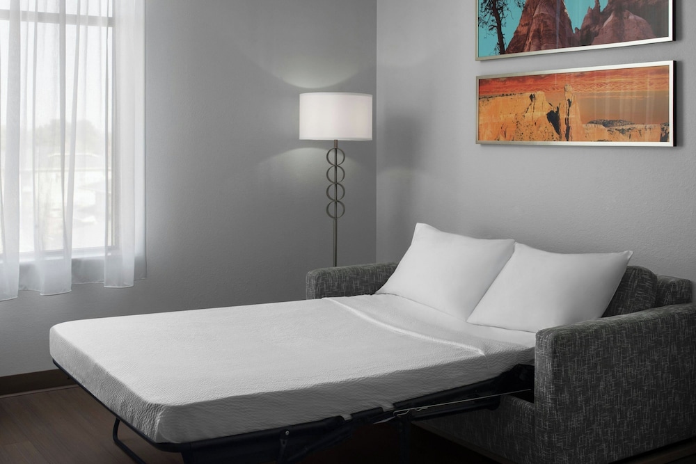 TownePlace Suites by Marriott Hobbs - photo 9