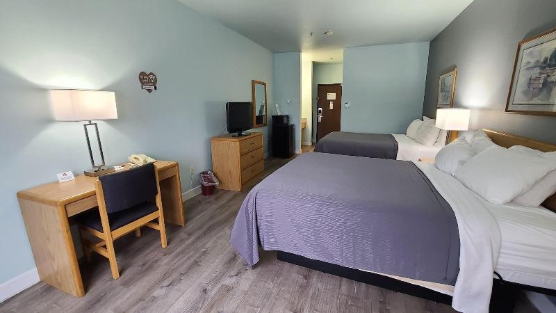 Bay Inn - photo 37