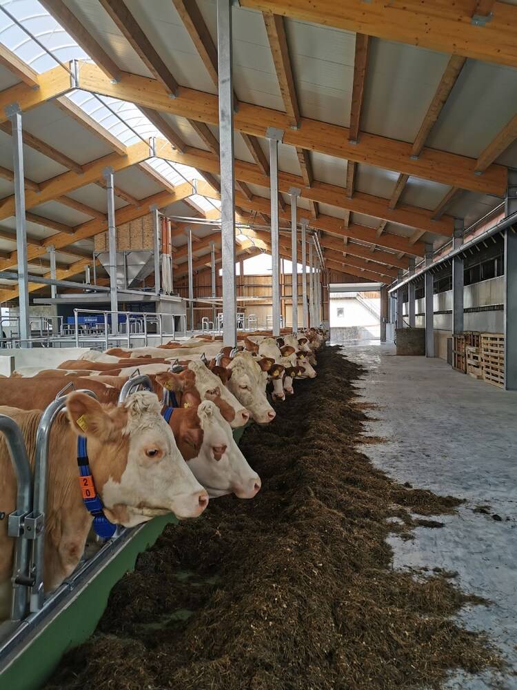 Children's activities