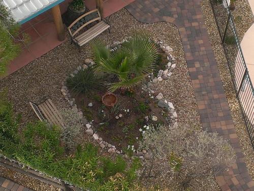 My Place Suites - photo 16