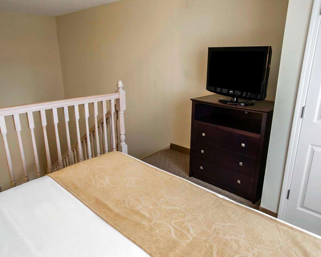 Comfort Suites University Area Notre Dame South Bend - photo 19
